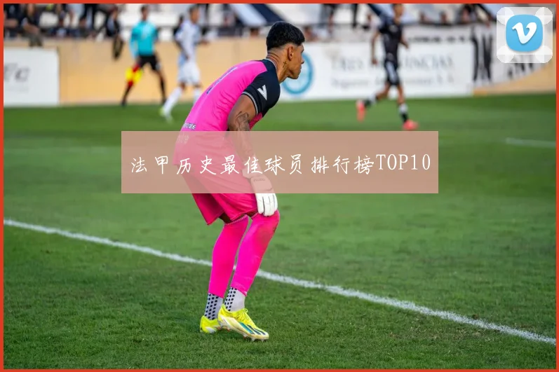 法甲历史最佳球员排行榜TOP10