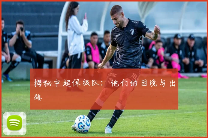 揭秘中超保级队:他们的困境与出路