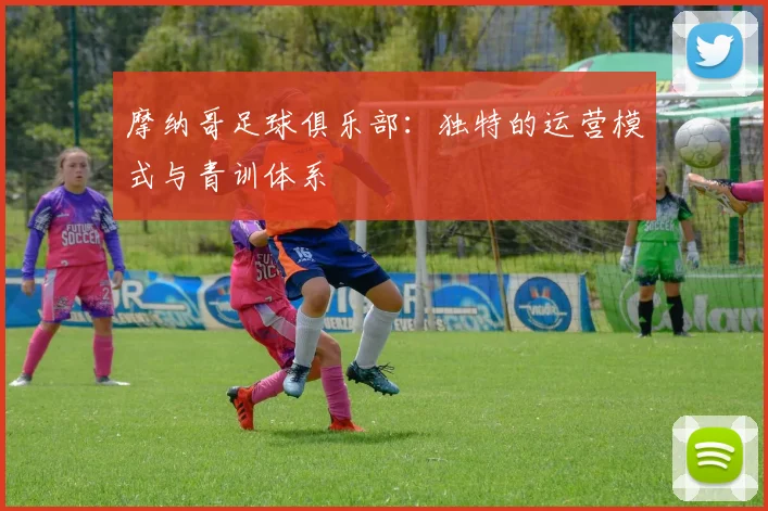 摩纳哥足球俱乐部：独特的运营模式与青训体系